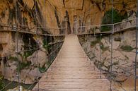 Suspension Bridge by Cornelis (Cees) Cornelissen thumbnail