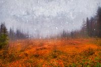 Nature mystique