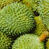 Exotischer Genuss: Durian – Die Königin der Früchte von NZME Photography