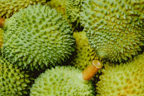 Exotischer Genuss: Durian – Die Königin der Früchte