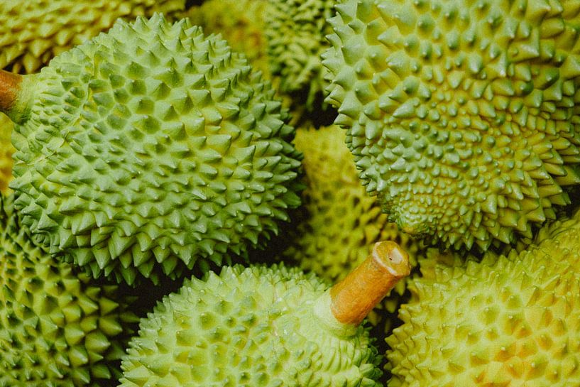 Exotischer Genuss: Durian – Die Königin der Früchte von NZME Photography