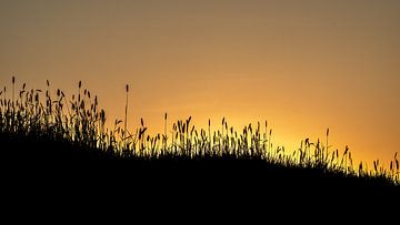 Nederlands landschap in silhouette van Jan Linskens