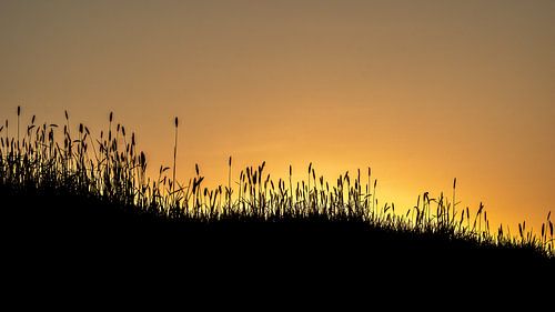 Niederländische Landschaft in Silhouette