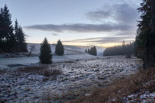 Prairie glacée dans la lumière du soir