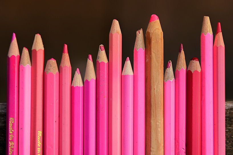 Beauty in pink by Maren Oude Essink