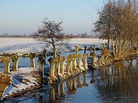 Winters landschap met sneeuw en ijs - snow landscape - Schneelandschaft
