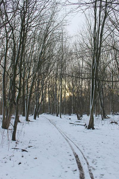 Winterwunderland 2 von Carin Klabbers