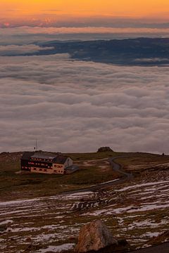 Verblijf boven het wolkendek van Martijn Aleman