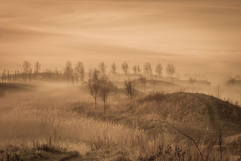 Awakening by Mariette Alders