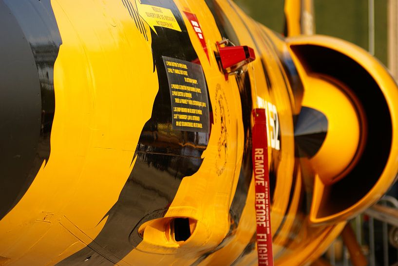 F104 Tiger van Victor de Reuver