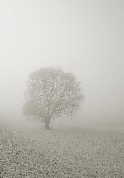Landscape in the fog by Heiko Kueverling
