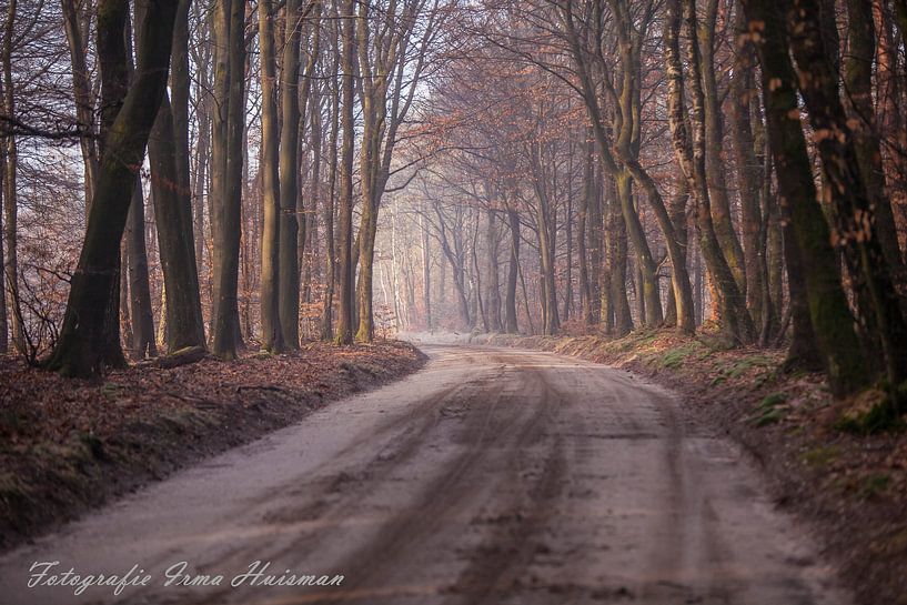 Pure by Irma Huisman