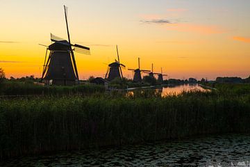 Die Windmühlen von Kinderdijk, Niederlande von Gert Hilbink