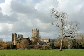 Wells Cathedral