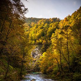 Derniers rayons de soleil dans les gorges de Vintgar sur Marco Schep