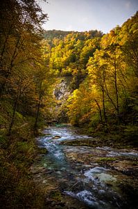 Derniers rayons de soleil dans les gorges de Vintgar
