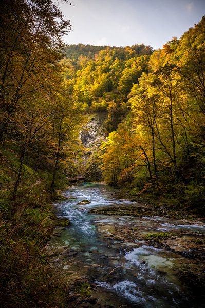 Last rays of sunshine in the Vintgar gorge by Marco Schep