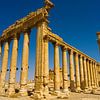 Die Ruinenstadt Palmyra in Syrien von WeltReisender Magazin