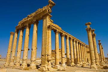 De verwoeste stad Palmyra in Syrië van Ingo Paszkowsky