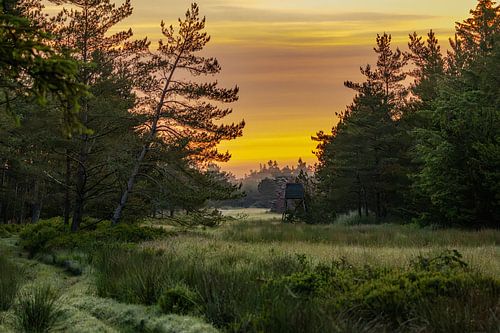 Lever de soleil sur un paysage naturel