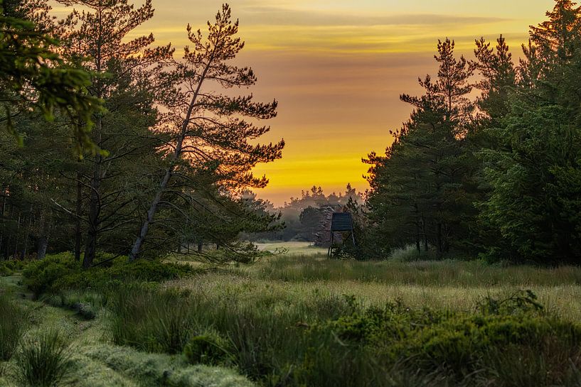 Lever de soleil sur un paysage naturel par Rein van Vemde