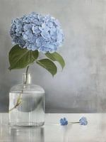 Stilleben mit blauen Hortensien im japanischen Stil