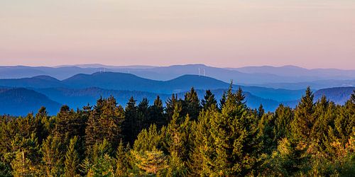 Vue du Schliffkopf sur la Forêt-Noire le matin
