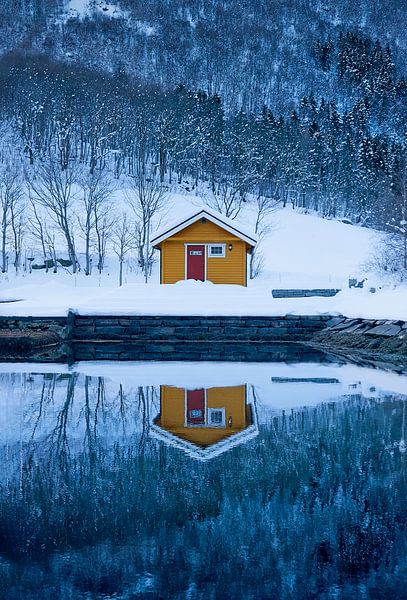 Cabane isolée au bord d'un fjord à Øye, Norangdal, Norvège par qtx