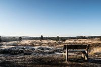Hoge Veluwe
