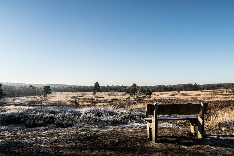 Hoge Veluwe van Robert Snoek