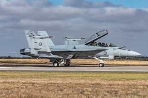RAAF Boeing F/A-18F Super Hornet, A44-207.