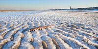 Bevroren strand van Arjan van Duijvenboden thumbnail
