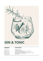 Der perfekte GinTonic