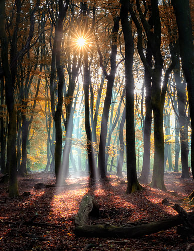 Speulderbos