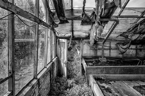 Deur in vervallen kas tuinbouwbedrijf