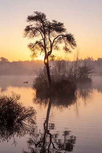 Zonsopkomst met mist en prachtige reflecties in het meer