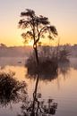 Zonsopkomst met mist en prachtige reflecties in het meer van Evelien Oerlemans thumbnail