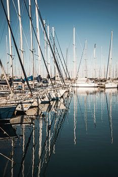 Sailboats in Silence Reflections in the Marina