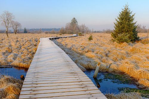 Houten wandelpad in Hove Venen