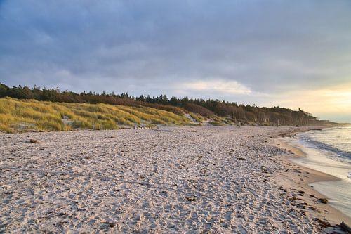 Op het zandstrand van de Oostzeekust