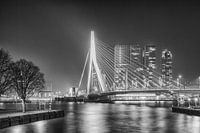 Pont Erasmus 12