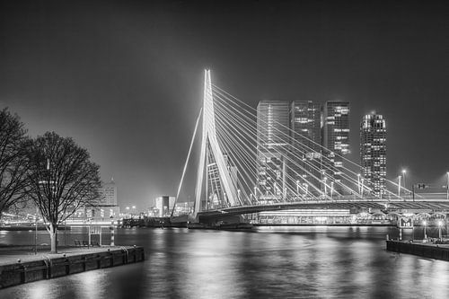 Pont Erasmus 12 sur John Ouwens