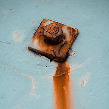 Rusty bolt by Johannes Schotanus