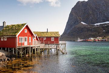 Découvrez la magie du nord de la Norvège sur Michael Bollen