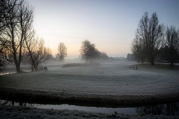 Wassenaar Rozenstein van Sebastian Stef