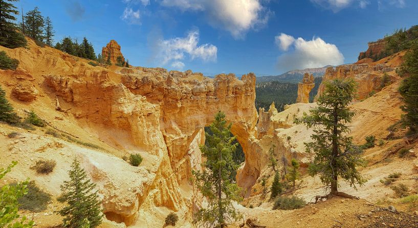 Parc national de Bryce Canyon, photo panoramique par Gert Hilbink