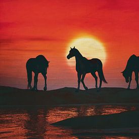 Paarden bij rode zonsondergang van Jan Keteleer (JanKé): Een reis voorbij het canvas