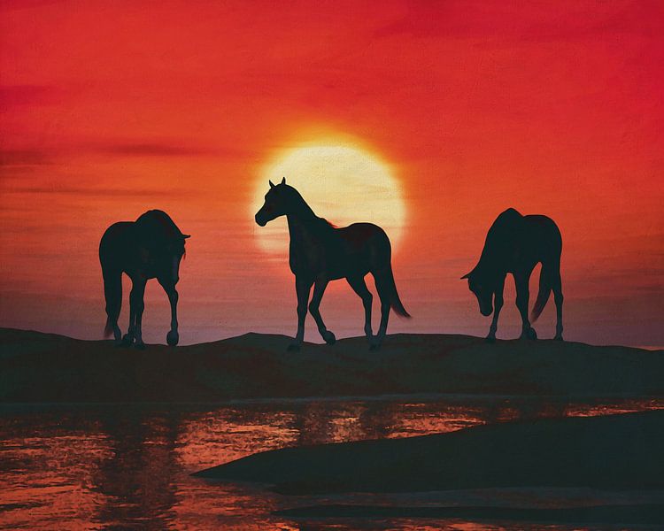 Pferde bei rotem Sonnenuntergang von Jan Keteleer