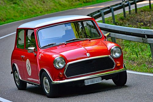 Mini 1000 - Start 77 - Eggberg Classic 2025