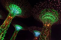 Gardens by the Bay, Singapour
